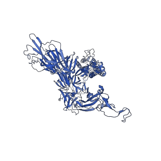 11207_6zgi_B_v1-0
Furin Cleaved Spike Protein of SARS-CoV-2 in Closed Conformation