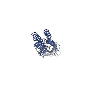 11208_6zgj_A_v1-1
GLIC pentameric ligand-gated ion channel, pH 5