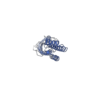 11208_6zgj_D_v1-1
GLIC pentameric ligand-gated ion channel, pH 5