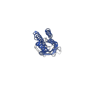 11209_6zgk_A_v1-1
GLIC pentameric ligand-gated ion channel, pH 3