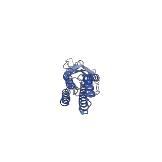 11209_6zgk_C_v1-1
GLIC pentameric ligand-gated ion channel, pH 3