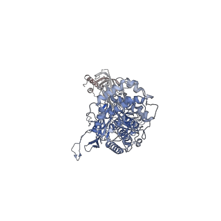 14708_7zgk_B_v1-1
Trypanosoma brucei gambiense ISG65 in complex with human complement component C3b