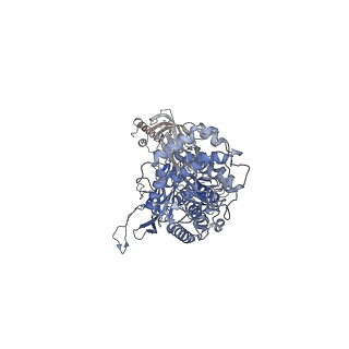 14708_7zgk_B_v1-2
Trypanosoma brucei gambiense ISG65 in complex with human complement component C3b