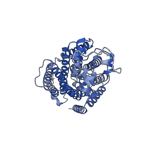 14709_7zgo_A_v1-1
Cryo-EM structure of human NKCC1 (TM domain)