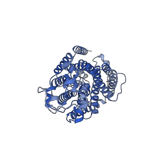 14709_7zgo_B_v1-1
Cryo-EM structure of human NKCC1 (TM domain)