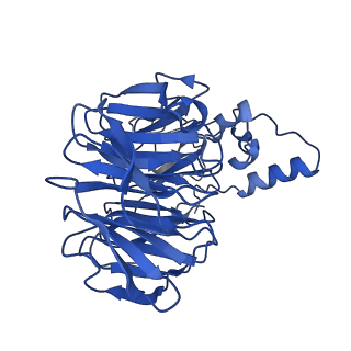 14710_7zgp_D_v1-2
Polymerase module of CPF in complex with Mpe1 and a pre-cleaved CYC1 RNA