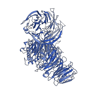 14711_7zgq_A_v1-2
Polymerase module of yeast CPF in complex with the yPIM of Cft2