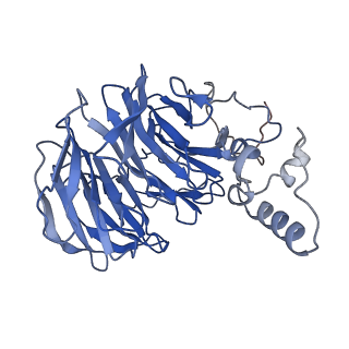 14711_7zgq_D_v1-2
Polymerase module of yeast CPF in complex with the yPIM of Cft2