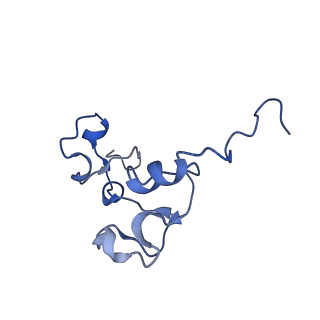 14712_7zgr_B_v1-2
Polymerase module of yeast CPF in complex with Mpe1, the yPIM of Cft2 and the pre-cleaved CYC1 RNA