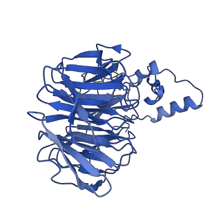 14712_7zgr_D_v1-2
Polymerase module of yeast CPF in complex with Mpe1, the yPIM of Cft2 and the pre-cleaved CYC1 RNA