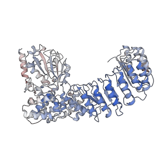 14713_7zgu_B_v1-0
Human NLRP3-deltaPYD hexamer