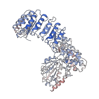 14713_7zgu_C_v1-0
Human NLRP3-deltaPYD hexamer