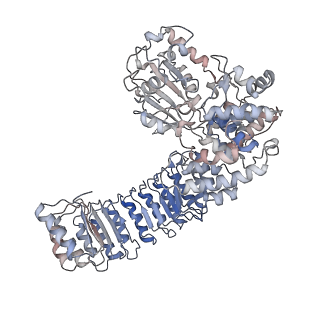 14713_7zgu_D_v1-0
Human NLRP3-deltaPYD hexamer