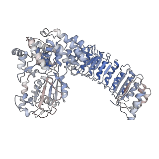14713_7zgu_F_v1-0
Human NLRP3-deltaPYD hexamer