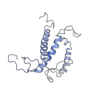 6930_5zgh_1_v1-4
Cryo-EM structure of the red algal PSI-LHCR