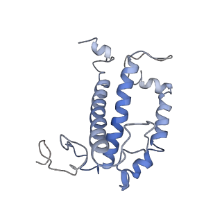 6930_5zgh_2_v1-4
Cryo-EM structure of the red algal PSI-LHCR