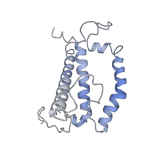 6930_5zgh_3_v1-4
Cryo-EM structure of the red algal PSI-LHCR
