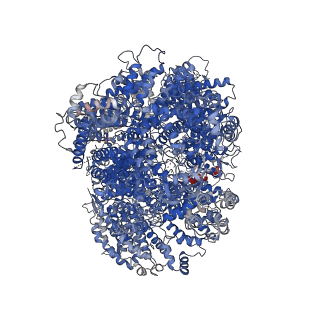 11211_6zh2_A_v1-2
Cryo-EM structure of DNA-PKcs (State 1)