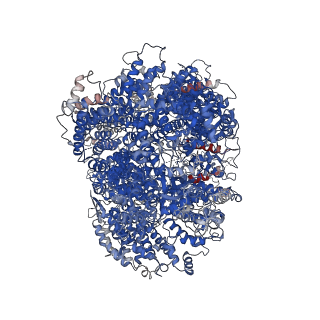 11213_6zh4_A_v1-2
Cryo-EM structure of DNA-PKcs (State 3)