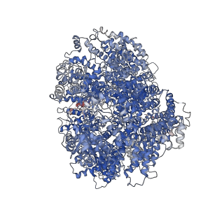 11215_6zh6_A_v1-2
Cryo-EM structure of DNA-PKcs:Ku80ct194
