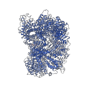11217_6zha_A_v1-2
Cryo-EM structure of DNA-PK monomer