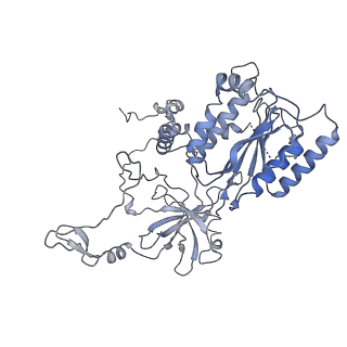 11217_6zha_B_v1-2
Cryo-EM structure of DNA-PK monomer