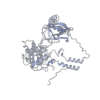 11217_6zha_C_v1-2
Cryo-EM structure of DNA-PK monomer