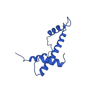 11220_6zhx_A_v1-1
Cryo-EM structure of the regulatory linker of ALC1 bound to the nucleosome's acidic patch: nucleosome class.