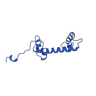 11220_6zhx_G_v1-1
Cryo-EM structure of the regulatory linker of ALC1 bound to the nucleosome's acidic patch: nucleosome class.