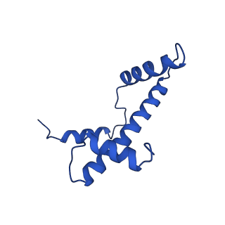 11221_6zhy_E_v1-1
Cryo-EM structure of the regulatory linker of ALC1 bound to the nucleosome's acidic patch: hexasome class.
