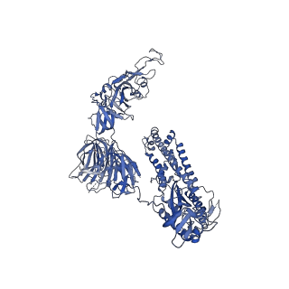 14718_7zh2_A_v1-0
SARS CoV Spike protein, Closed C1 conformation
