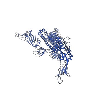 14718_7zh2_B_v1-0
SARS CoV Spike protein, Closed C1 conformation
