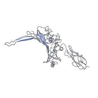 14733_7zhj_B_v1-1
Tail tip of siphophage T5 : tip proteins