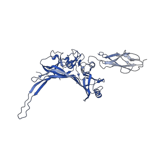 14733_7zhj_D_v1-1
Tail tip of siphophage T5 : tip proteins