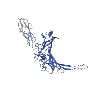 14733_7zhj_F_v1-1
Tail tip of siphophage T5 : tip proteins