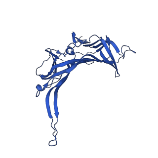 14733_7zhj_G_v1-1
Tail tip of siphophage T5 : tip proteins