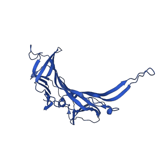 14733_7zhj_I_v1-1
Tail tip of siphophage T5 : tip proteins