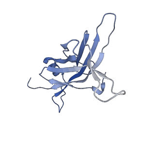 14733_7zhj_J_v1-1
Tail tip of siphophage T5 : tip proteins