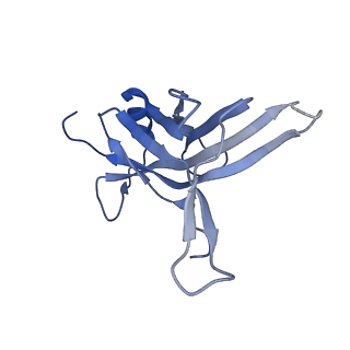14733_7zhj_K_v1-1
Tail tip of siphophage T5 : tip proteins