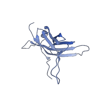 14733_7zhj_L_v1-1
Tail tip of siphophage T5 : tip proteins