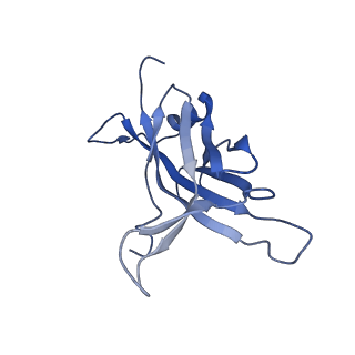 14733_7zhj_M_v1-1
Tail tip of siphophage T5 : tip proteins