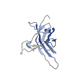 14733_7zhj_N_v1-1
Tail tip of siphophage T5 : tip proteins