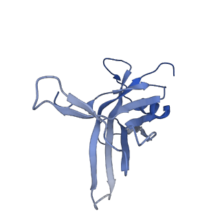 14733_7zhj_O_v1-1
Tail tip of siphophage T5 : tip proteins
