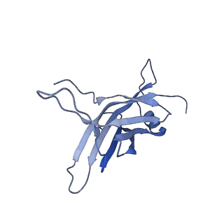 14733_7zhj_P_v1-1
Tail tip of siphophage T5 : tip proteins