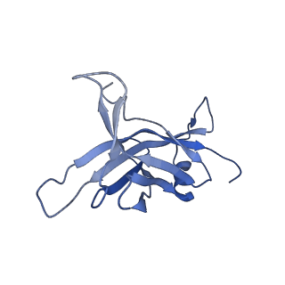 14733_7zhj_Q_v1-1
Tail tip of siphophage T5 : tip proteins