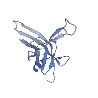 14733_7zhj_S_v1-1
Tail tip of siphophage T5 : tip proteins
