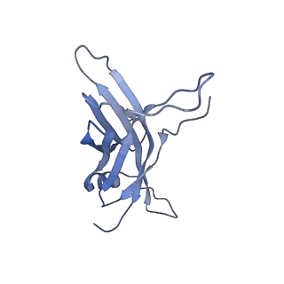 14733_7zhj_T_v1-1
Tail tip of siphophage T5 : tip proteins