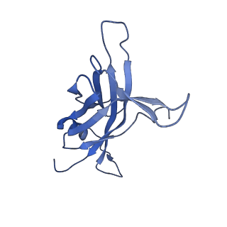 14733_7zhj_U_v1-1
Tail tip of siphophage T5 : tip proteins