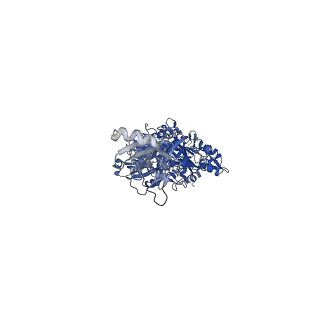 14733_7zhj_b_v1-1
Tail tip of siphophage T5 : tip proteins