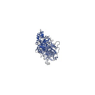 14733_7zhj_d_v1-1
Tail tip of siphophage T5 : tip proteins